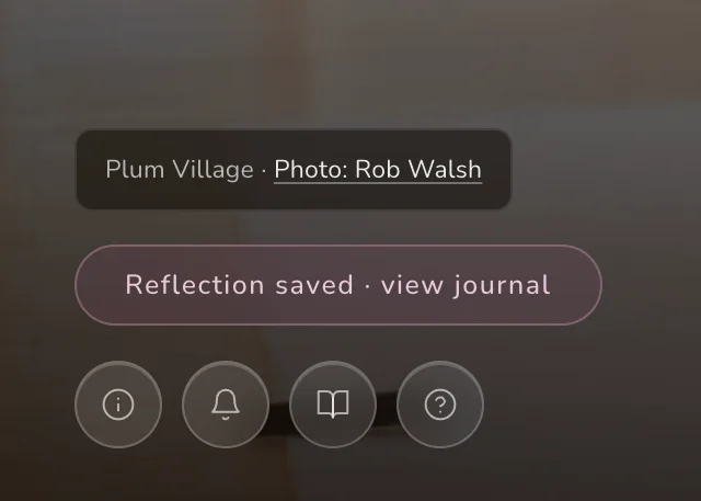 The photo credit pill and the Info button, enlarged