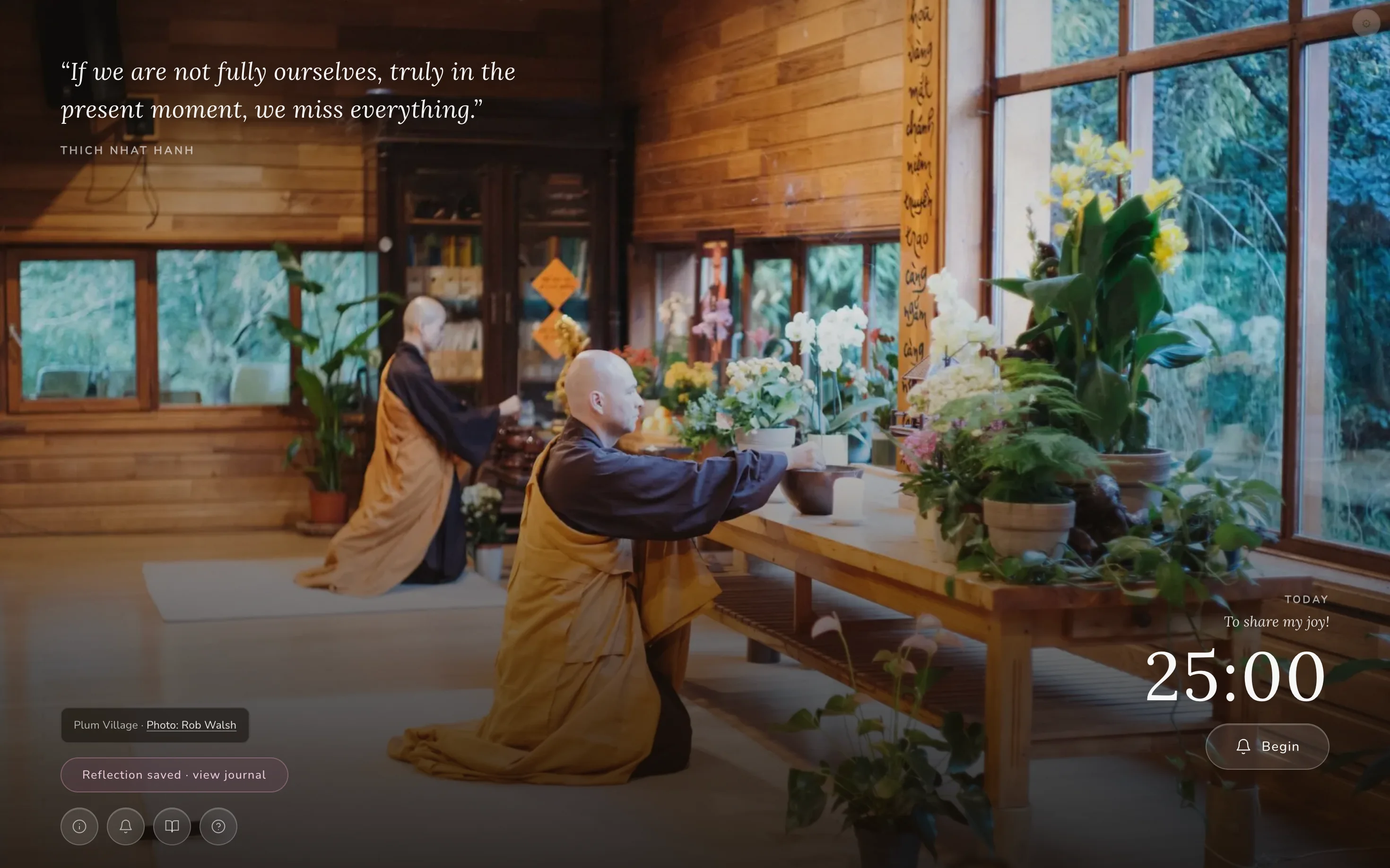 The Info button revealing the photo credit and link to the photographer